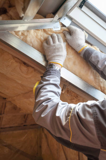 Best Types of Insulation in Loris, SC