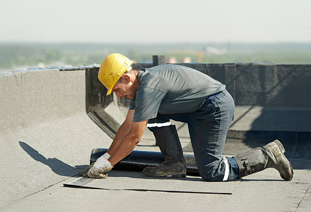 Best Commercial Insulation in Loris, SC